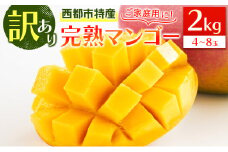 【7月16日終了】訳あり「ご家庭用」宮崎県西都市産完熟マンゴー2kg ＜2-95＞宮崎マンゴー　
