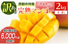 訳あり「ご家庭用」宮崎県西都市産完熟マンゴー2kg ＜2-95＞宮崎マンゴー【先行予約】