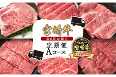 宮崎牛６ヶ月定期便 Aコース 牛肉 焼肉 すき焼き ステーキ等 ブランド牛 ミヤチク 内閣総理大臣賞4連覇 ＜8-2＞すき焼肉 すき焼き肉 