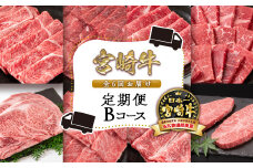 【６ヶ月定期便】宮崎牛Bコース 牛肉 焼肉 すき焼き ステーキ等 ミヤチク 内閣総理大臣賞4連覇 ＜12-2＞すき焼肉 すき焼き肉