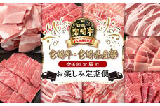 宮崎牛＆宮崎県産豚肉６ヶ月定期便 お楽しみコース 牛肉 豚肉 焼肉 すき焼き しゃぶしゃぶ とんかつ等 ミヤチク 内閣総理大臣賞4連覇 ＜8-3＞すき焼肉 すき焼き肉