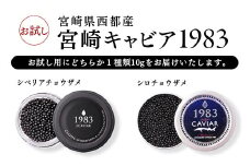 宮崎キャビア 訳あり お試しキャビア10g 国産 「ジャパン キャビア」＜1.7-28＞【３月11日終了】