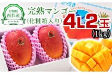 【大玉4Lサイズ2個】宮崎県西都市産 完熟マンゴー 糖度12度以上 特大サイズ【先行予約】＜1.5-178＞宮崎マンゴー 果物 フルーツ 甘い【残りわずか】
