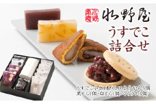 水野屋 うすでこ詰め合わせ 和菓子 お菓子＜1.2-64＞