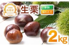 新鮮朝どれ国産生栗 2㎏ 西都市産【先行予約】＜1-283＞くり 栗  国産 生栗 果物 フルーツ 栗きんとん スイーツに★