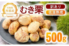 【訳あり】低温熟成栗 国産むき栗 500g 糖度2～3倍  西都市産【先行予約】＜1.1-19＞くり 栗  国産 生栗 果物 フルーツ 栗きんとん スイーツに　
