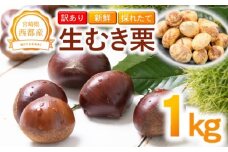 【訳あり】 新鮮朝どれ 国産生むき栗 1㎏ 西都市産＜1.1-20＞くり 栗  国産 生栗 果物 フルーツ 栗きんとん スイーツに【先行予約】