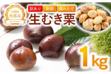 【訳あり】 新鮮朝どれ 国産生むき栗 1㎏ 西都市産＜1.1-20＞くり 栗  国産 生栗 果物 フルーツ 栗きんとん スイーツに【先行予約】★