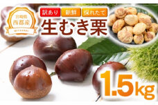 【訳あり】 新鮮朝どれ 国産生むき栗 1.5㎏ 西都市産＜1.5-221＞くり 栗  国産 生栗 果物 フルーツ 栗きんとん スイーツに【先行予約】