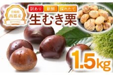 【訳あり】 新鮮朝どれ 国産生むき栗 1.5㎏ 西都市産＜1.5-221＞くり 栗  国産 生栗 果物 フルーツ 栗きんとん スイーツに【先行予約】
