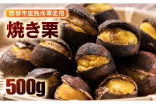 秋の味覚！ 熟成焼き栗 2パック 合計500g【先行予約】＜1-288＞くり 栗  国産 生栗 果物 フルーツ スイーツ
