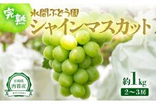 シャインマスカット約1kg 2～3房 西都産完熟ぶどう 水間ぶどう園＜1.1-23＞先行予約