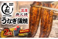 うなぎ 蒲焼 2尾 炭火焼 無頭 炭火の香ばさ際立つ老舗 「うなぎの入船」熟成たれ付 国産 宮崎 蒲焼 鰻 宮崎 かば焼 鰻 ＜2-29＞
