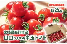 山口さんちの中玉トマト 約2㎏ シンディースイート 宮崎県西都市産とまと 【先行予約】＜1-280＞