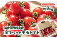 山口さんちの中玉トマト 約2㎏ シンディースイート 宮崎県西都市産とまと 【先行予約】＜1-280＞★