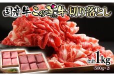 宮崎有田牧場 オリジナルブランド『この華牛』赤身主体 国産牛 切り落とし 1㎏ 500g×2パック 小分け 牛丼 カレー 肉じゃが等＜1.2-28＞★