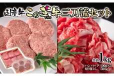 合計1ｋｇ！国産牛切り落とし500ｇ＆牛100％ハンバーグ100ｇ×5個 二刀流セット この華牛＜1.1-27＞【3月17日終了】