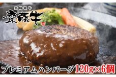 宮崎和牛「齋藤牛」牛100％プレミアムハンバーグ 黒毛和牛＜1.2-60＞