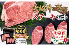 【お歳暮ギフト】宮崎牛ロースステーキ＆ヒレステーキ ブランド牛豪華ステーキセット食べ比べ 牛肉 ステーキ ミヤチク 内閣総理大臣賞4連覇 ＜6-3＞