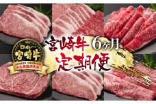 宮崎牛 A４～A5等級 6ケ月定期便 ステーキ 焼肉 すき焼き 牛肉 ブランド牛 内閣総理大臣賞4連覇＜14-1＞すき焼肉 すき焼き肉 【日本ハム】