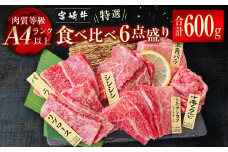 宮崎牛 特選焼肉 食べ比べ6点盛り 4等級以上 ブランド牛 内閣総理大臣賞4連覇 牛肉 焼肉＜3-44＞