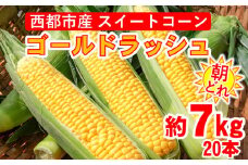 【6月9日終了】今が旬！朝どれ スイートコーン ゴールドラッシュ 約7㎏ 20本  西都市産とうもろこし ＜1-9＞