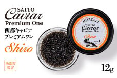 SAITO CAVIAR PREMIUM ONE SHIRO 12g＜3.8-1＞キャビア 西都市オリジナル 