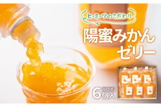 ひみつのこだわり！陽蜜みかんゼリーパウチ6個セット 飲めるゼリー＜1.5-6＞
