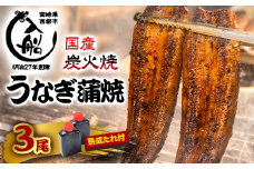 うなぎ 蒲焼 3尾 炭火焼 無頭 炭火の香ばさ際立つ老舗 「うなぎの入船」熟成たれ付 国産 宮崎 蒲焼 鰻 宮崎 かば焼 鰻 ＜3-9＞