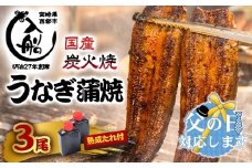 【父の日ギフト】うなぎうなぎ 蒲焼 3尾 炭火焼 無頭 炭火の香ばさ際立つ老舗 「うなぎの入船」熟成たれ付 国産 宮崎 蒲焼 鰻 宮崎 かば焼 鰻 ＜3-9＞