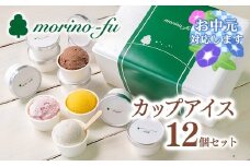 【お中元ギフト】【もりのふうオリジナル】5種類（定番＋季節限定）カップアイス12個セット アイスクリーム＜1-250＞　