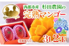 【お中元ギフト】今が旬！【杉田農園】西都市産 完熟マンゴー 2玉  900g~1kg 化粧箱入 生産者直送  宮崎マンゴー ＜1.8-24＞ 果物 フルーツ 甘い 残りわずか