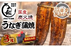 【土用の丑 残りわずかです】うなぎ 蒲焼 3尾 炭火焼 無頭 炭火の香ばさ際立つ老舗 「うなぎの入船」熟成たれ付 国産 宮崎 蒲焼 鰻 宮崎 かば焼 鰻 ＜3-9＞丑の日