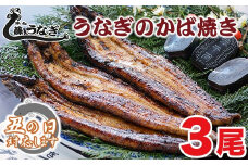 【土用の丑 No.1】藤うなぎ かば焼き3尾 国産うなぎ 宮崎 蒲焼 鰻＜2.5-6＞