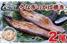 【土用の丑 No.2】藤うなぎ かば焼き2尾 国産うなぎ 宮崎 蒲焼 鰻＜1.7-2＞