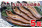 蒸しは入れず外はぱりっと中はふわっと、炭火の香ばしさが際立つ人気の蒲焼です。