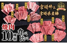 宮崎牛＆宮崎県産豚肉 焼肉10種盛り 食べ比べセット計600g 宮崎牛4等級以上 国産牛 豚肉  ブランド牛 ミヤチク 内閣総理大臣賞4連覇＜1.2-25＞
