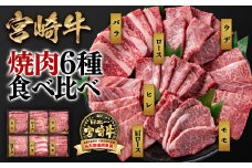 宮崎牛 6種盛り焼肉 食べ比べセット600g 4等級以上 国産牛 肉  ブランド牛 ミヤチク 内閣総理大臣賞4連覇＜2.2-17＞【10月1日より寄附金額見直し】