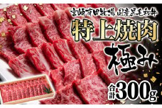 宮崎有田牧場 黒毛和牛稀少部位を含む 特上おまかせ焼肉極み300g 有田牧畜産業ブランドEMO牛 牛肉 焼肉 国産牛肉＜1.1-40＞