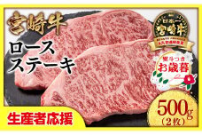 【お歳暮ギフト】【生産者応援】宮崎牛ロースステーキ2枚 （250g×2枚）牛肉 ステーキ 高級部位 ブランド牛 ミヤチク 内閣総理大臣賞4連覇＜1.5-18＞【年内発送】