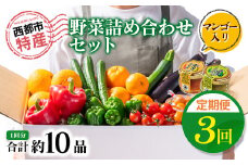 3回定期便 西都市旬の特産詰め合わせセット 野菜・マンゴー・スイートコーン等＜4-4＞野菜 フルーツ【12月31日申し込み終了】
