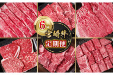 【定期便】宮崎牛  6回定期便 焼肉 すき焼き ステーキ ブランド牛 A４～A5等級 内閣総理大臣賞4連覇＜7-9＞ 牛肉 最高級黒毛和牛