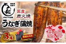 【母の日ギフト】うなぎうなぎ 蒲焼 3尾 炭火焼 無頭 炭火の香ばさ際立つ老舗 「うなぎの入船」熟成たれ付 国産 宮崎 蒲焼 鰻 宮崎 かば焼 鰻 ＜3-9＞