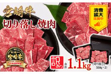 【生活応援中】宮崎牛 赤身焼肉 1.1kg 550×2 訳あり 切り落とし焼肉 牛肉 4等級以上 ブランド牛 ミヤチク 内閣総理大臣賞4連覇 ＜2-15＞焼肉用 牛肉 赤身【3月31日終了・その後金額見直し】
