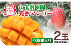 今が旬！【マンゴー専門 山下果樹園】完熟マンゴー 2玉 900g以上 アップルマンゴー  宮崎県西都産 生産者直送＜1.8-17＞宮崎マンゴー【6月30日】終了