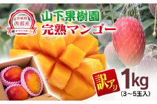 今が旬！【マンゴー専門 山下果樹園】ご家庭用完熟マンゴー 1kg 3~5個 アップルマンゴー  宮崎県西都産 生産者直送＜1.5-25＞宮崎マンゴー【6月30日】終了