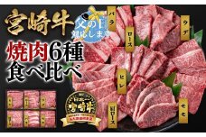 【父の日ギフト】宮崎牛 6種盛り焼肉 食べ比べセット600g 4等級以上 国産牛 肉  ブランド牛 ミヤチク 内閣総理大臣賞4連覇＜2.2-17＞