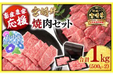 【お中元ギフト】【畜産農家応援】宮崎牛 赤身＆肩ロース 食べ比べ焼肉セット１kg  （500g ×2）4等級以上 ミヤチク 内閣総理大臣賞4連覇 ＜1.7-40＞牛肉 赤身 焼肉