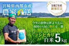【令和7年産新米・先行予約】こしひかり 5kg ※8月上旬以降順次発送予定 精米済み 新米 こしひかり お米 精米 5キロ 米 ライス こめ おこめ ＜1.3-20＞