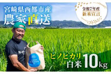 【令和7年産新米・先行予約】ヒノヒカリ 10kg ※10月中旬以降順次発送予定 精米済み 新米 ヒノヒカリ お米 精米 10キロ 米 ライス こめ おこめ 10kg＜2.4-9＞